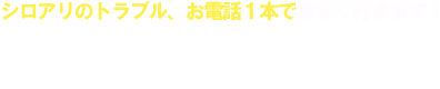 シロアリのトラブル、お電話1本で今すぐ行きます！ 0120-4616-24