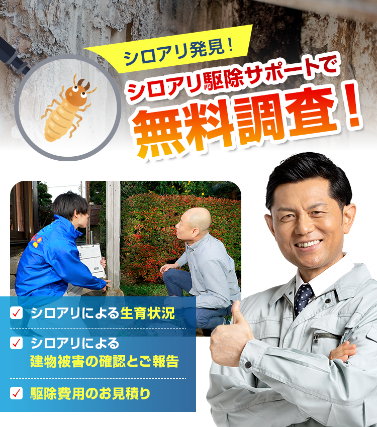 シロアリ駆除サポートで無料調査!