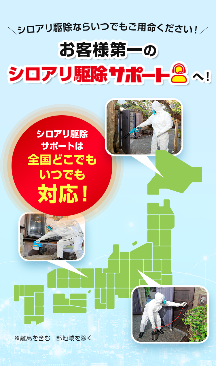 シロアリ駆除ならいつでもご用命ください!